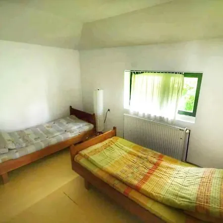 Borici 公寓 索科矿泉村