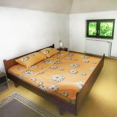 公寓 Borici 索科矿泉村