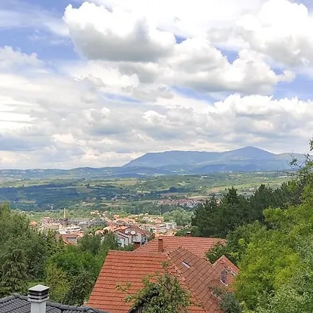 公寓 Borici 索科矿泉村