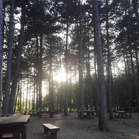 公寓 Borici 索科矿泉村