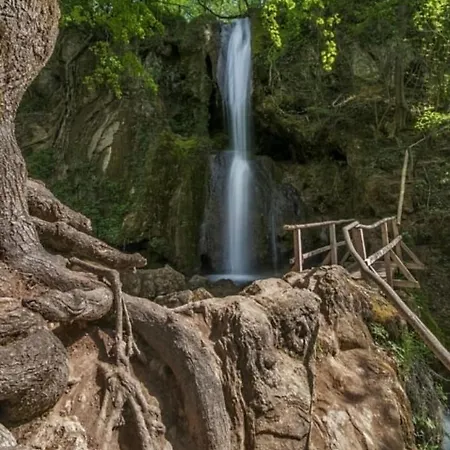 Borici * 索科矿泉村