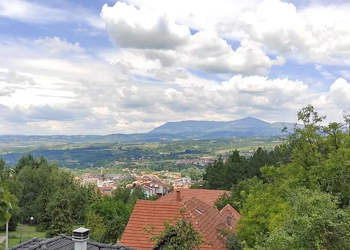 Daire Borici Soko Banja