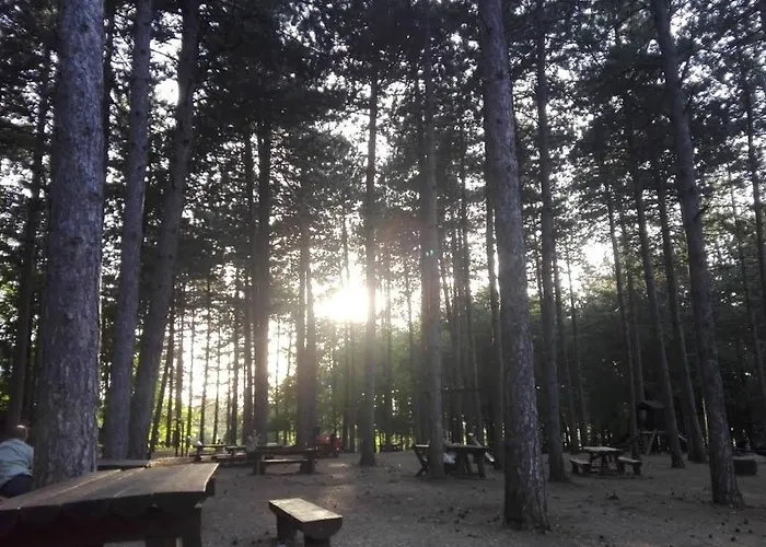 Daire Borici Soko Banja