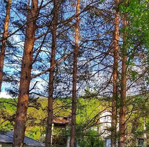 Apartamento Borici *